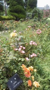 2015062811000000.jpg