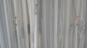 2015070507530000.jpg