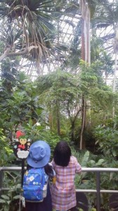 2015070511010000.jpg